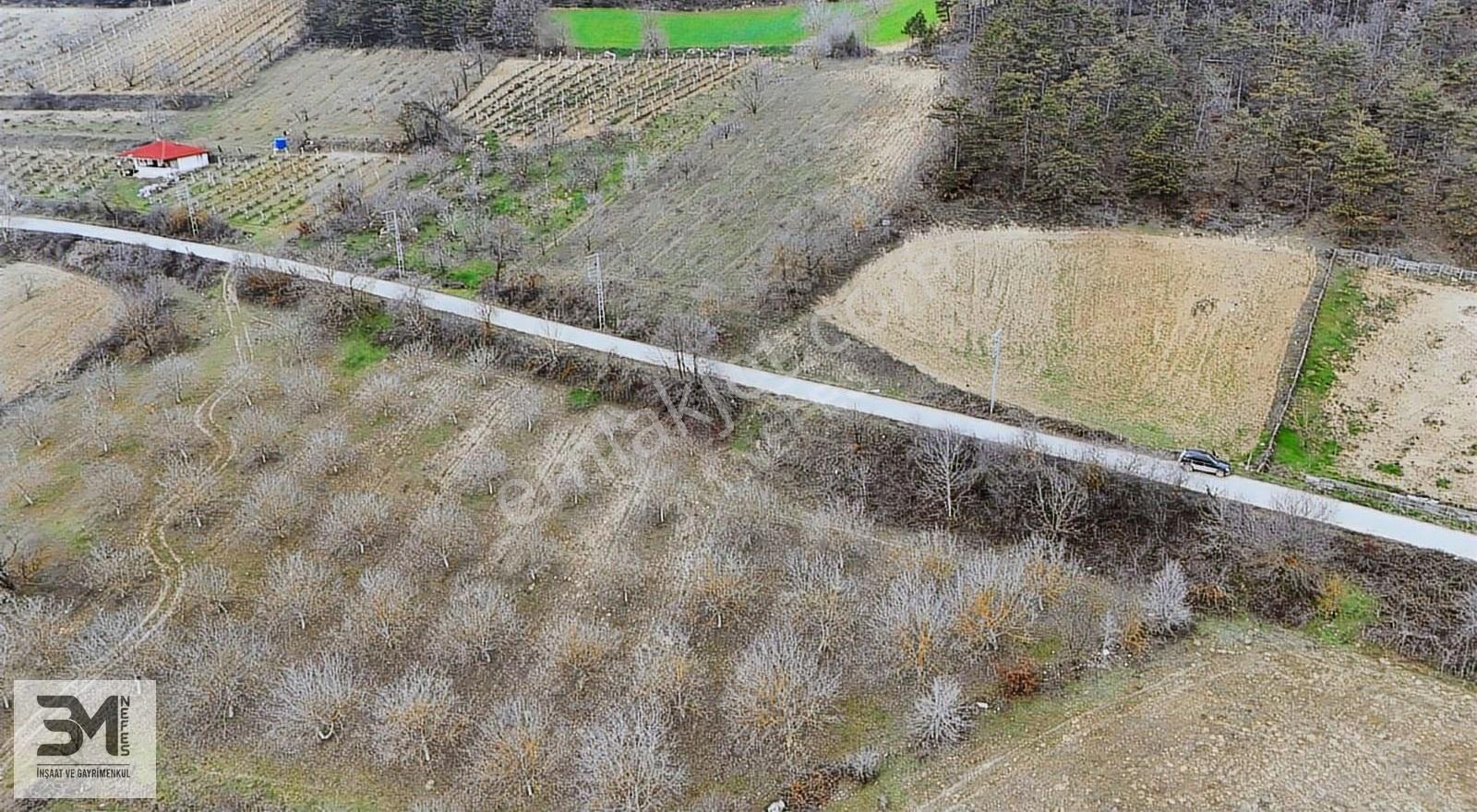 Sakarya Geyve Yaylak 2078 M2 Asfalt Yola Cephe Uygun Fırsat Arsa - Görsel 16