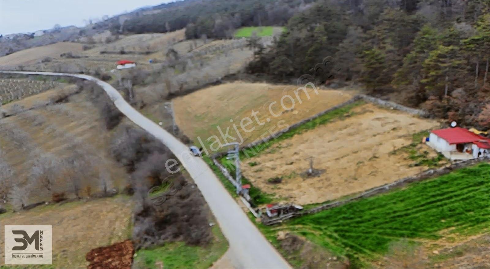 Sakarya Geyve Yaylak 2078 M2 Asfalt Yola Cephe Uygun Fırsat Arsa - Görsel 3