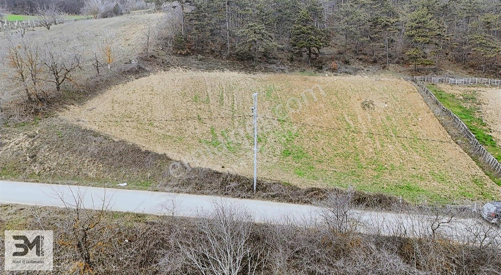Sakarya Geyve Yaylak 2078 M2 Asfalt Yola Cephe Uygun Fırsat Arsa - Görsel 29