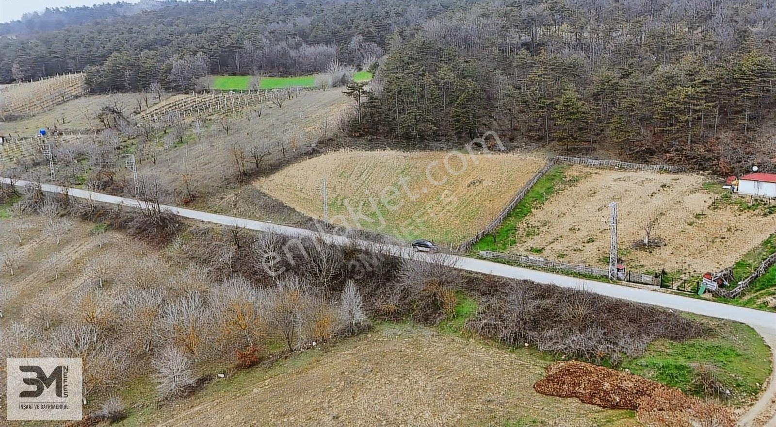 Sakarya Geyve Yaylak 2078 M2 Asfalt Yola Cephe Uygun Fırsat Arsa - Görsel 20