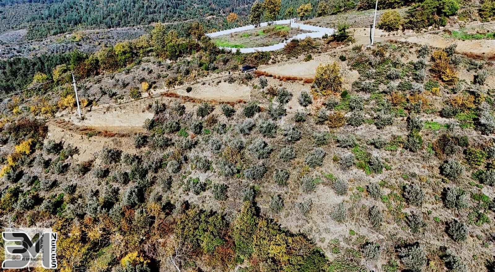Sakarya Geyve Saraçlı 1115 M2 Müstakil %40 İmarlı Arsa - Görsel 24