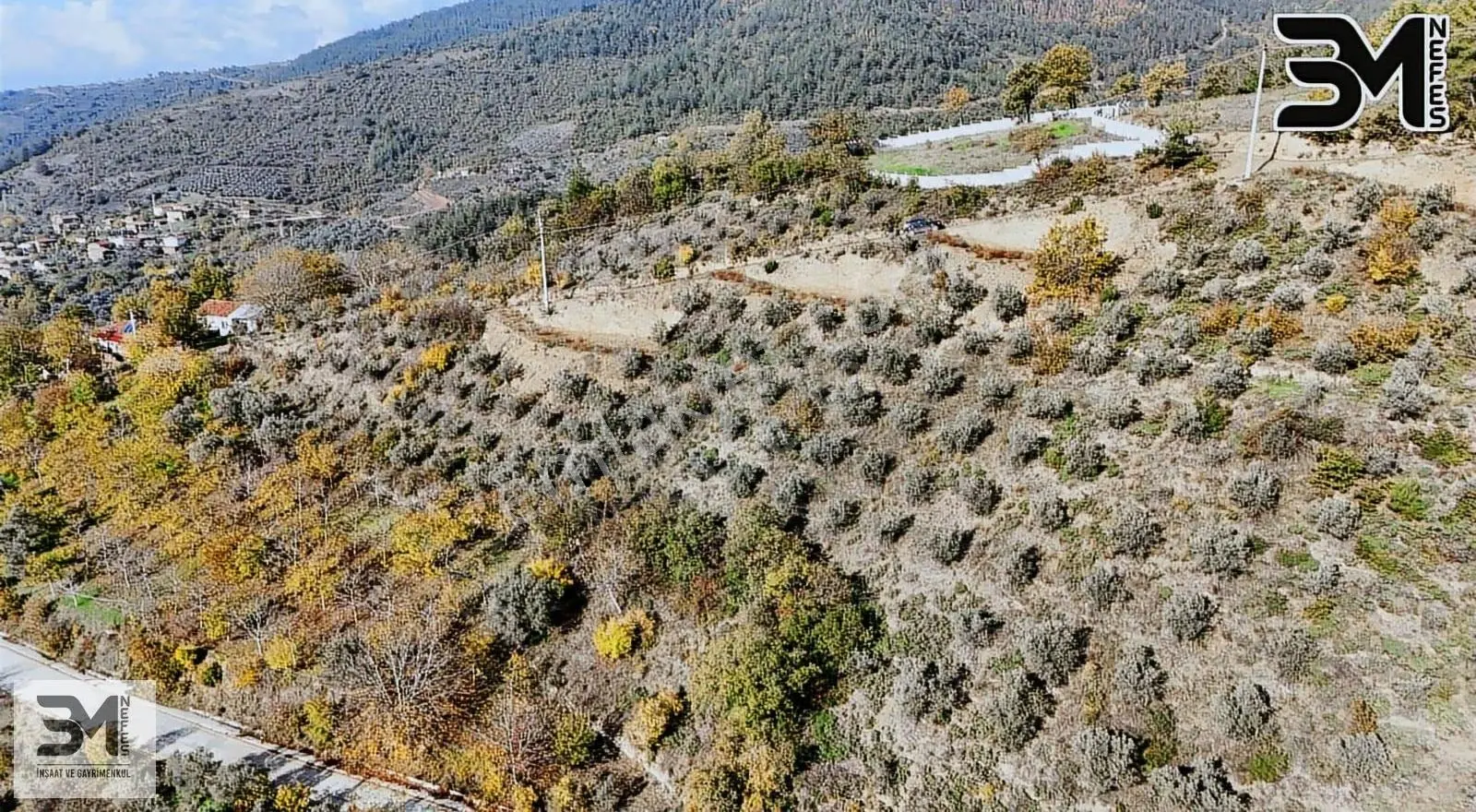 Sakarya Geyve Saraçlı 1115 M2 Müstakil %40 İmarlı Arsa - Görsel 3