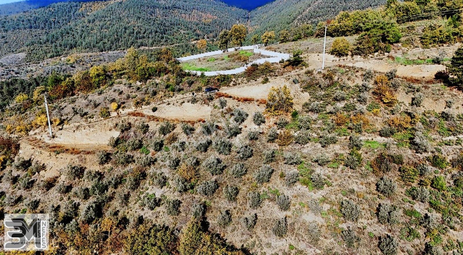 Sakarya Geyve Saraçlı 1115 M2 Müstakil %40 İmarlı Arsa - Görsel 22