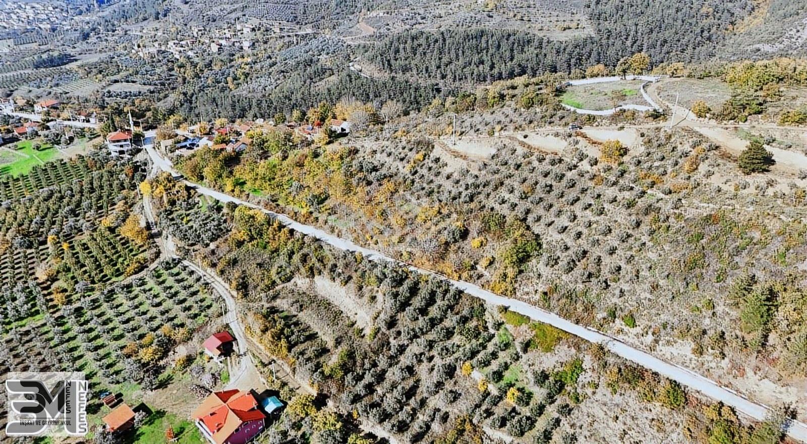 Sakarya Geyve Saraçlı 1115 M2 Müstakil %40 İmarlı Arsa - Görsel 10