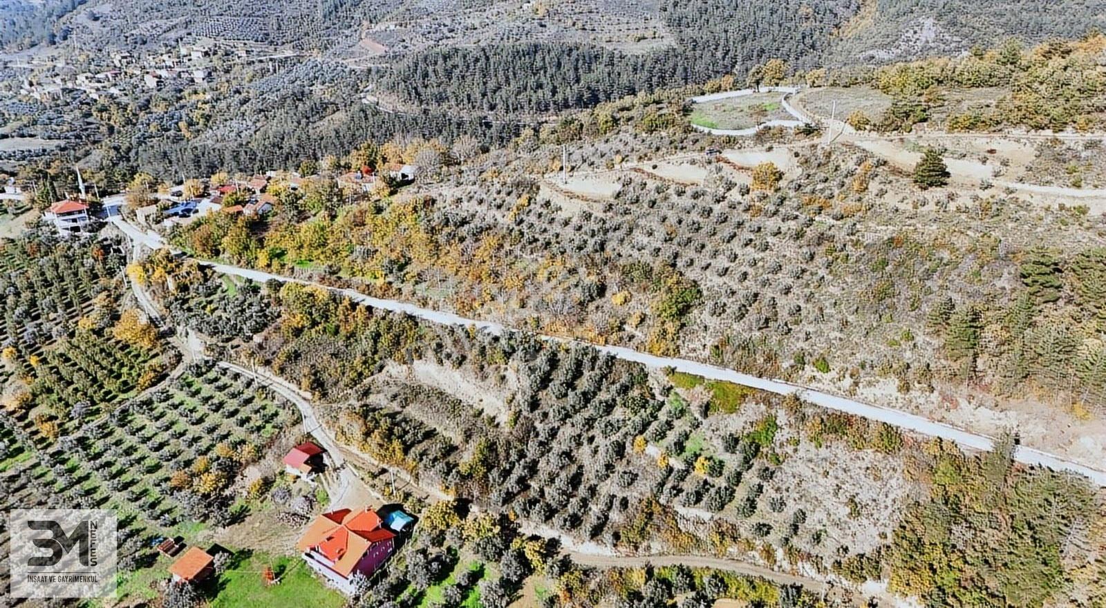 Sakarya Geyve Saraçlı 1115 M2 Müstakil %40 İmarlı Arsa - Görsel 21