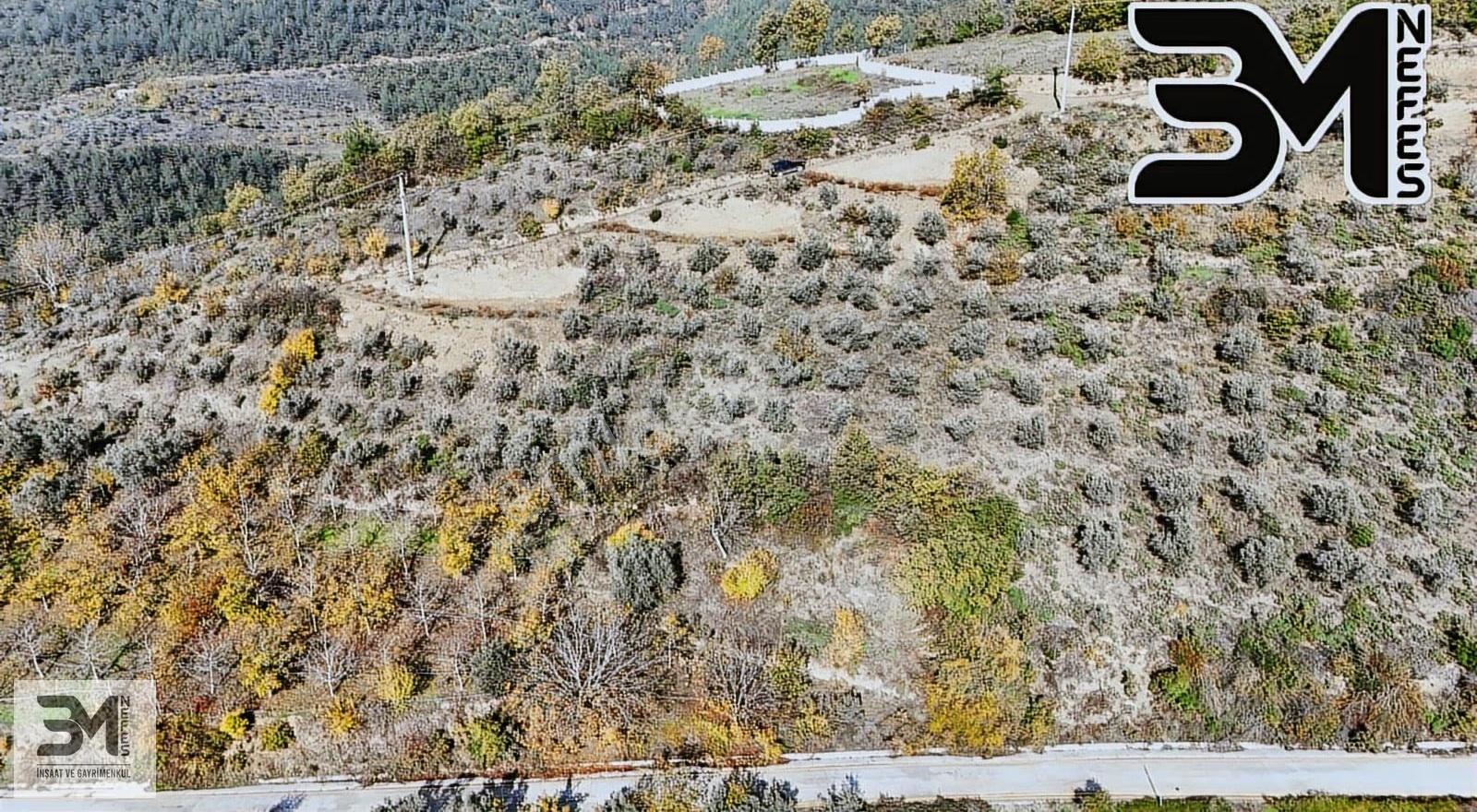 Sakarya Geyve Saraçlı 1115 M2 Müstakil %40 İmarlı Arsa - Görsel 25