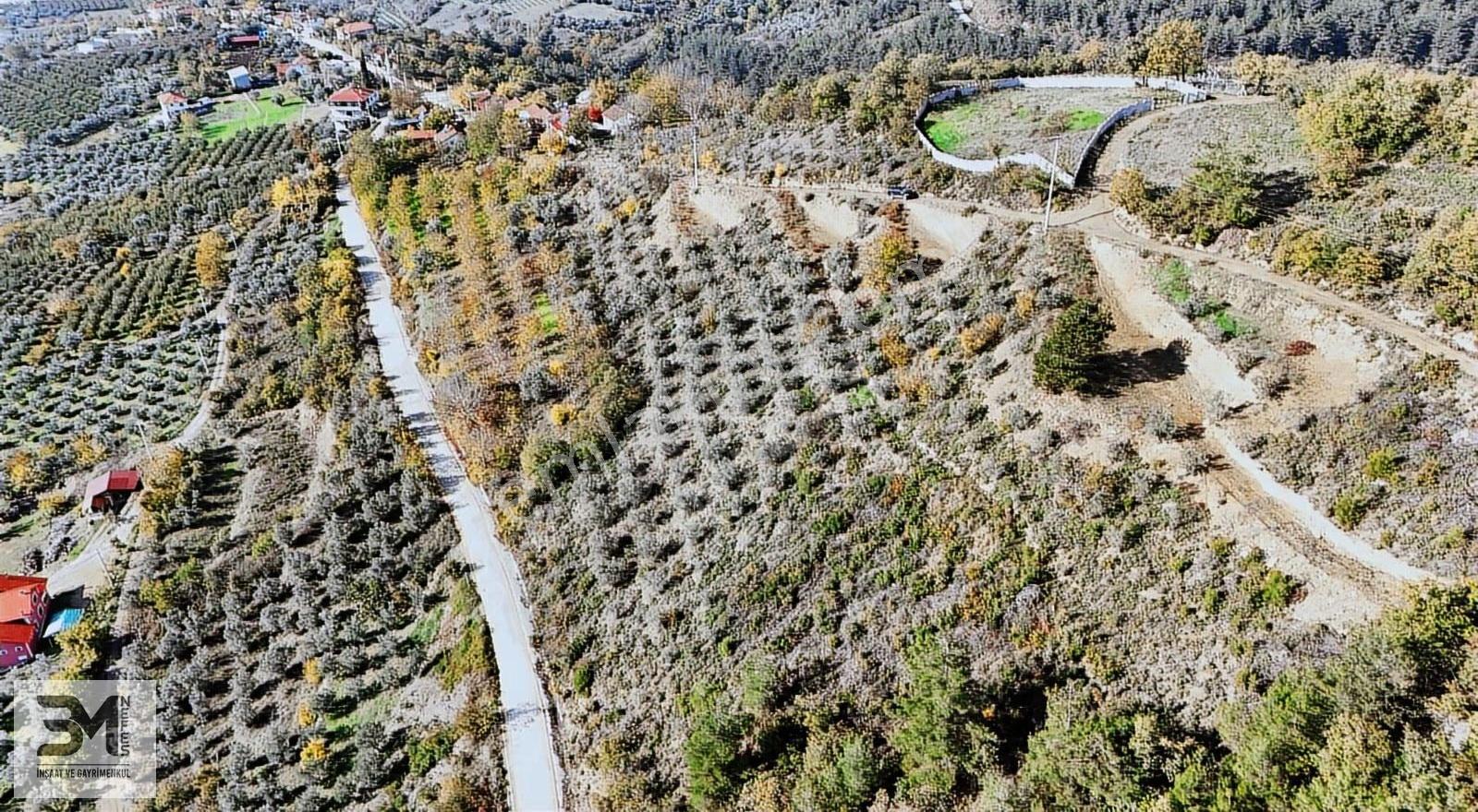 Sakarya Geyve Saraçlı 1115 M2 Müstakil %40 İmarlı Arsa - Görsel 7