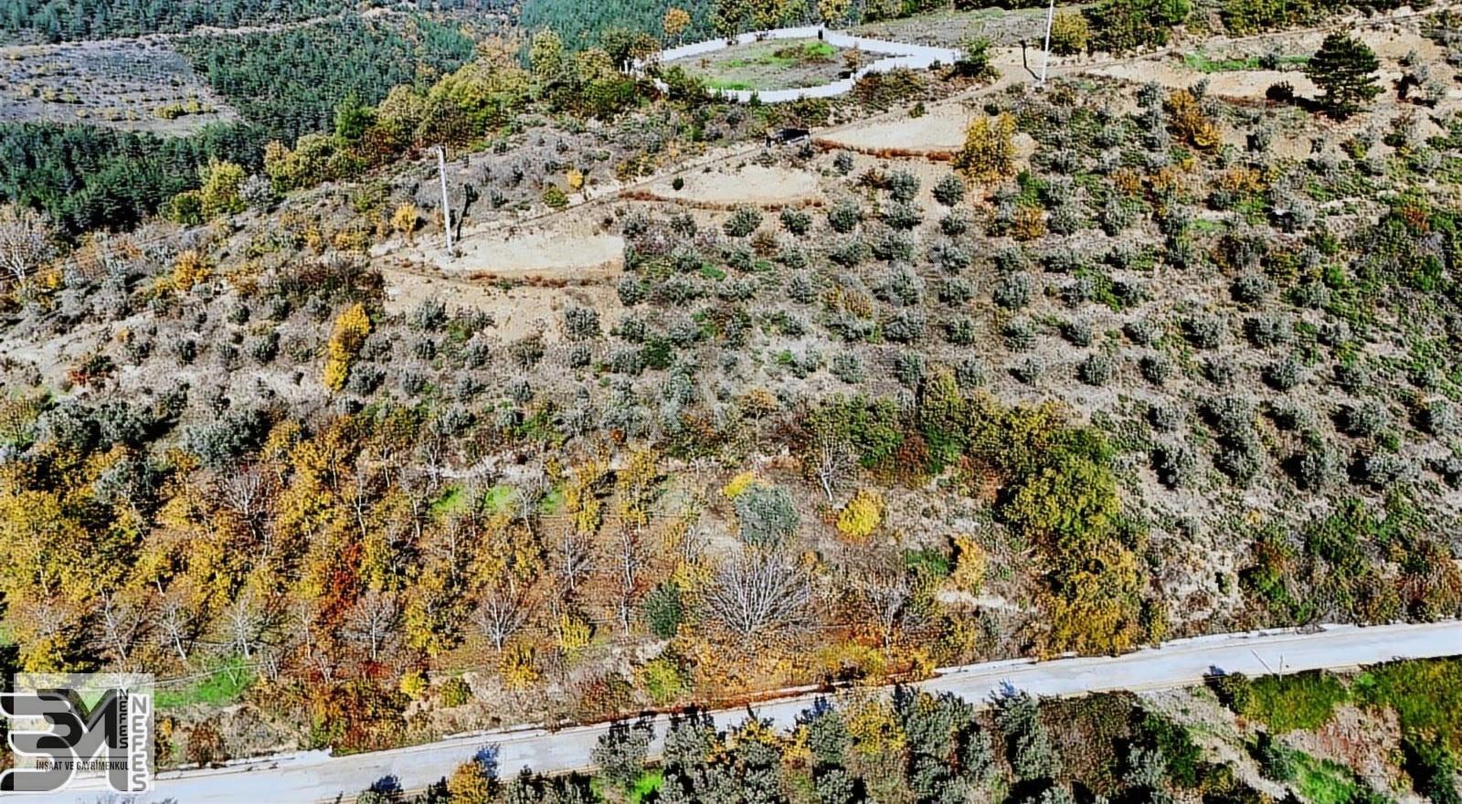 Sakarya Geyve Saraçlı 1115 M2 Müstakil %40 İmarlı Arsa - Görsel 19
