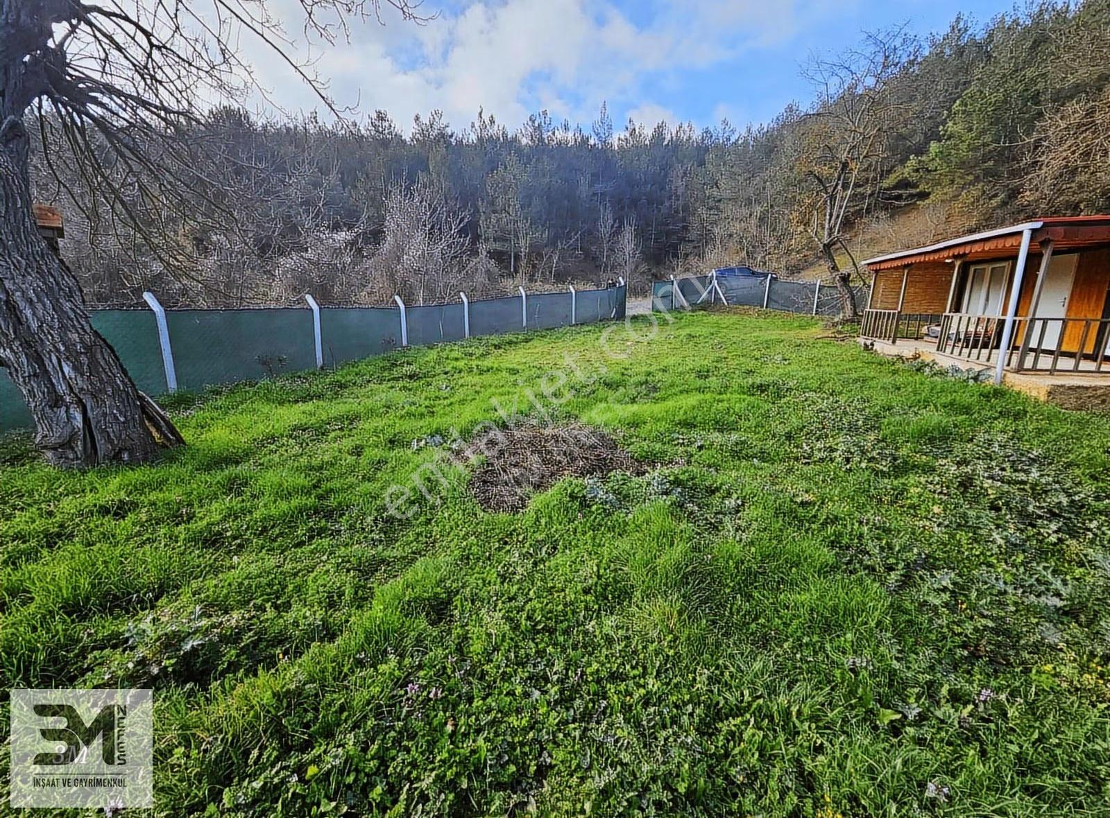 Sakarya Geyve Ahibaba Asfalta Cephe 520 M2 Arsa Ve Konteyner - Görsel 4