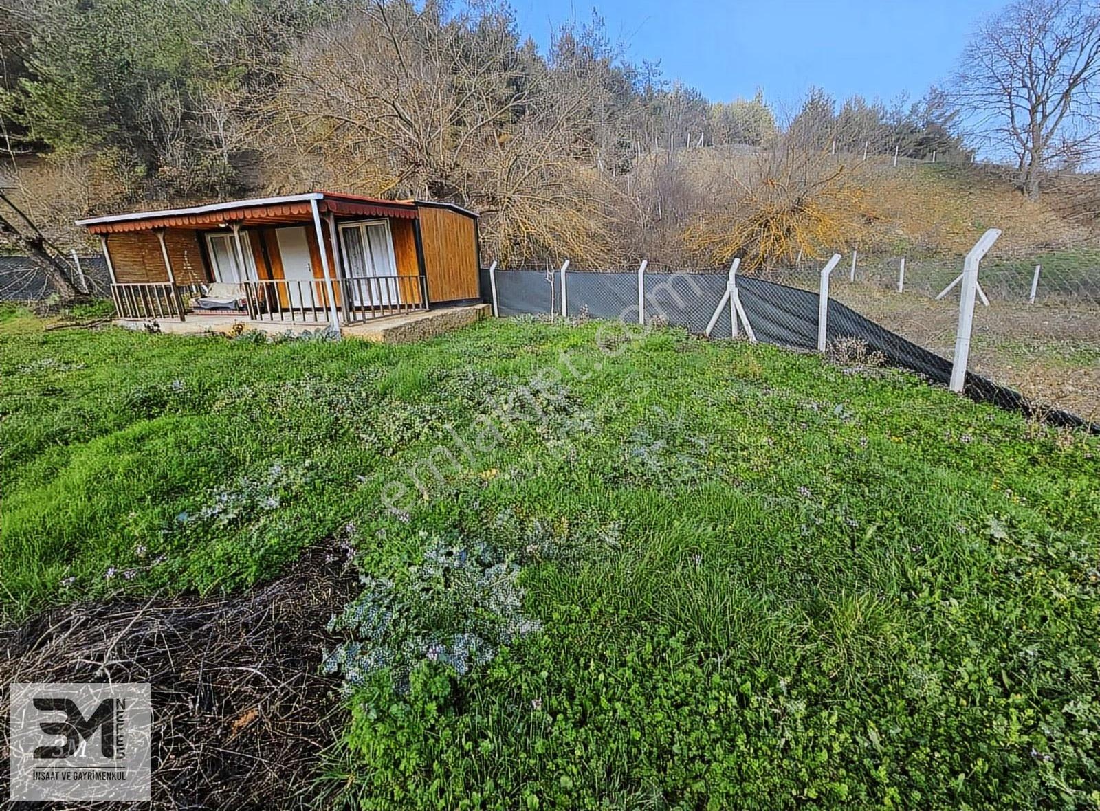 Sakarya Geyve Ahibaba Asfalta Cephe 520 M2 Arsa Ve Konteyner - Görsel 10