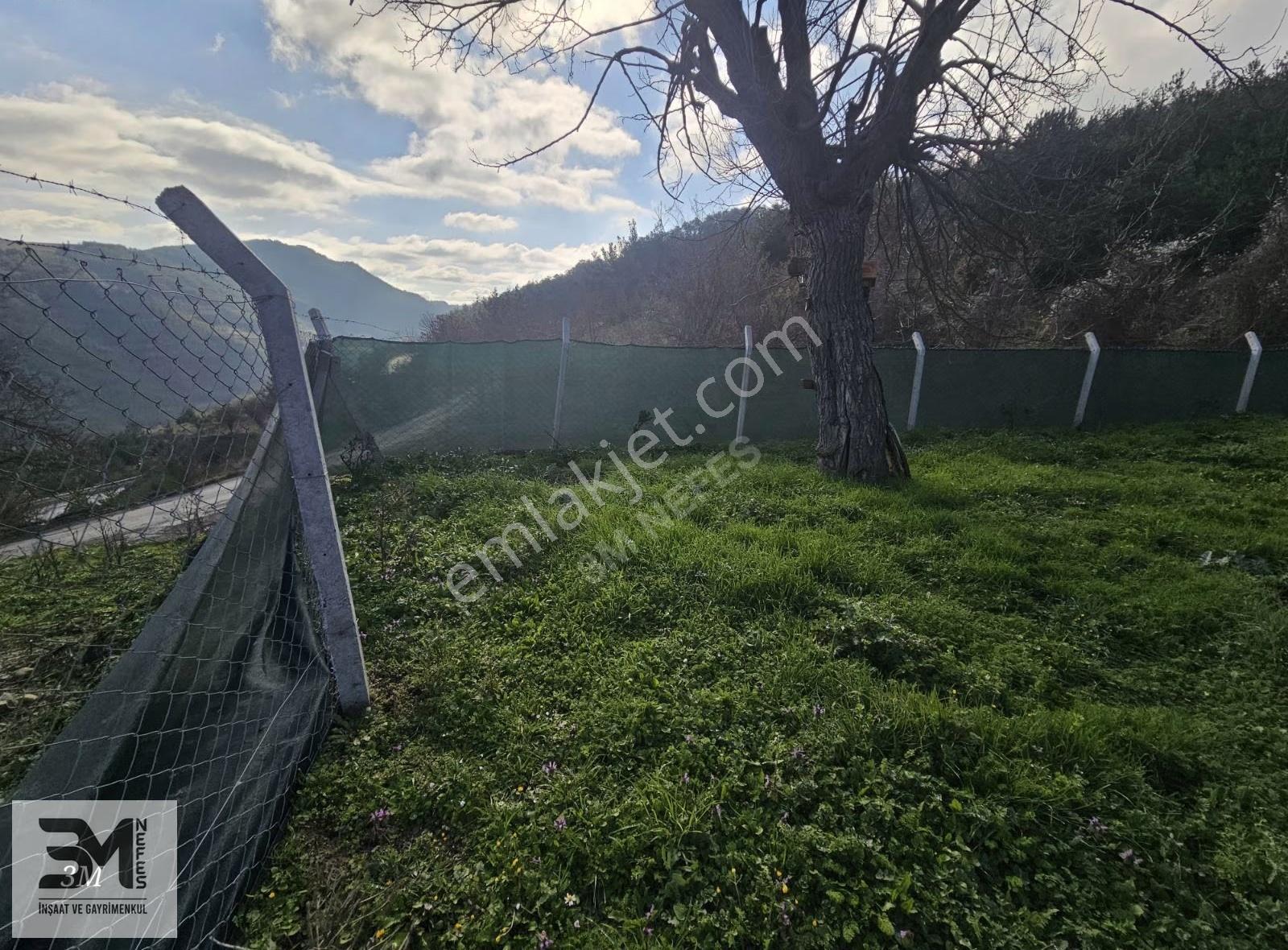 Sakarya Geyve Ahibaba Asfalta Cephe 520 M2 Arsa Ve Konteyner - Görsel 2
