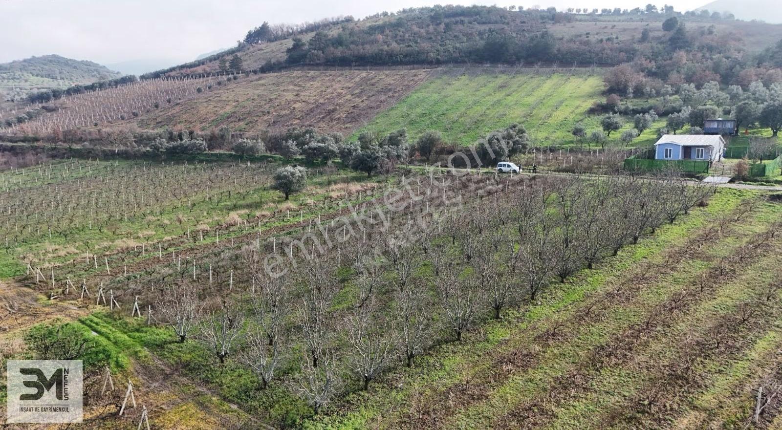 Sakarya Geyve Umurbey 1263m2 Üzüm Bağ Resmi Yol Su Nadir Fırsat - Görsel 17