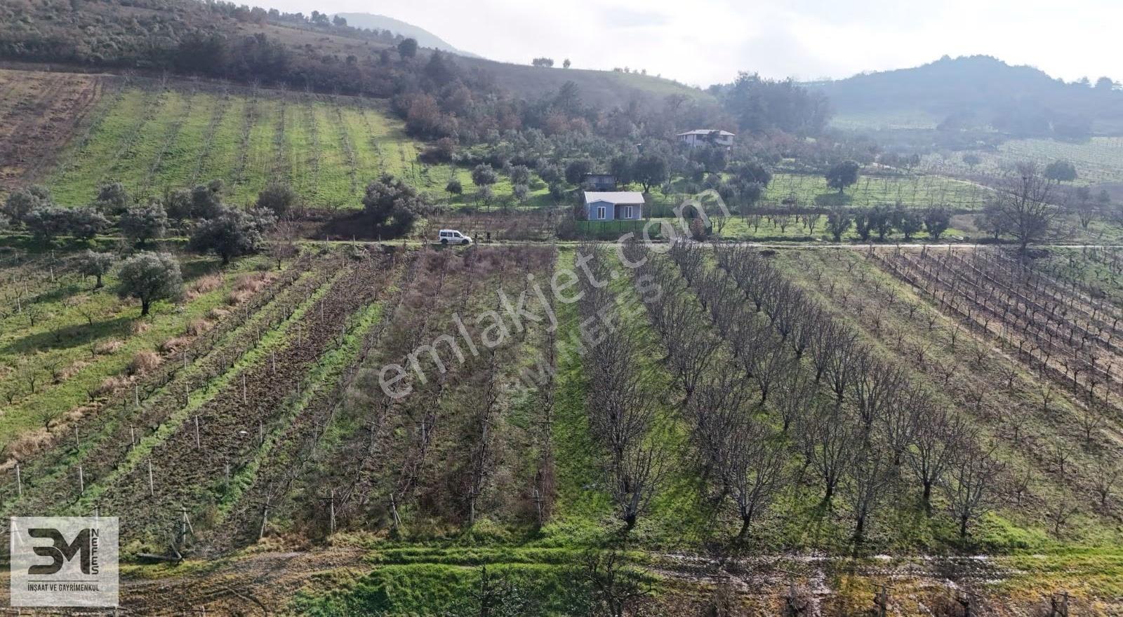 Sakarya Geyve Umurbey 1263m2 Üzüm Bağ Resmi Yol Su Nadir Fırsat - Görsel 27