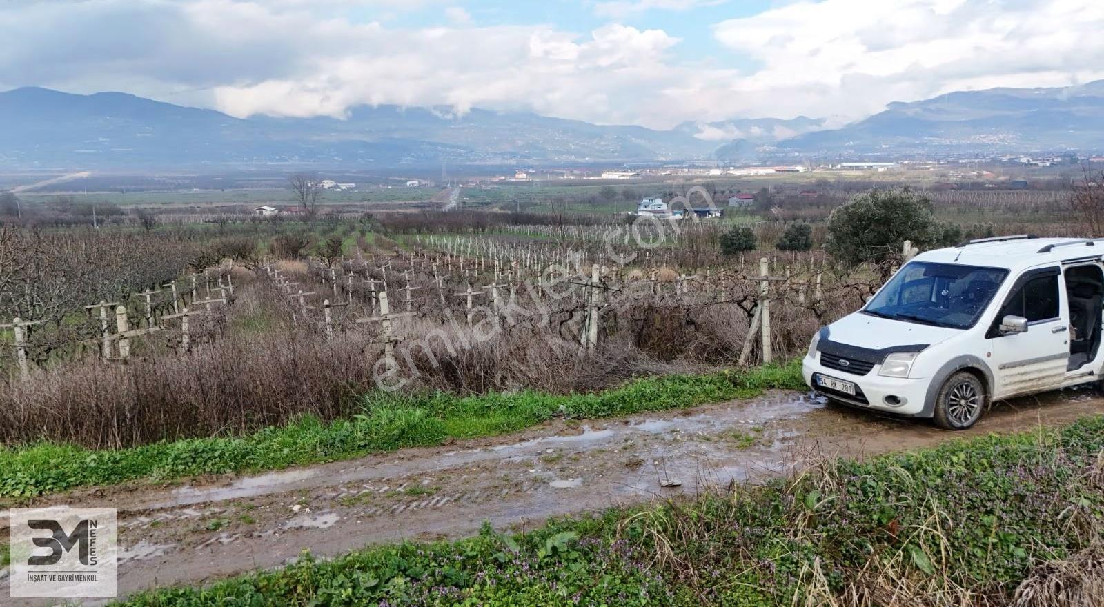 Sakarya Geyve Umurbey 1263m2 Üzüm Bağ Resmi Yol Su Nadir Fırsat - Görsel 4