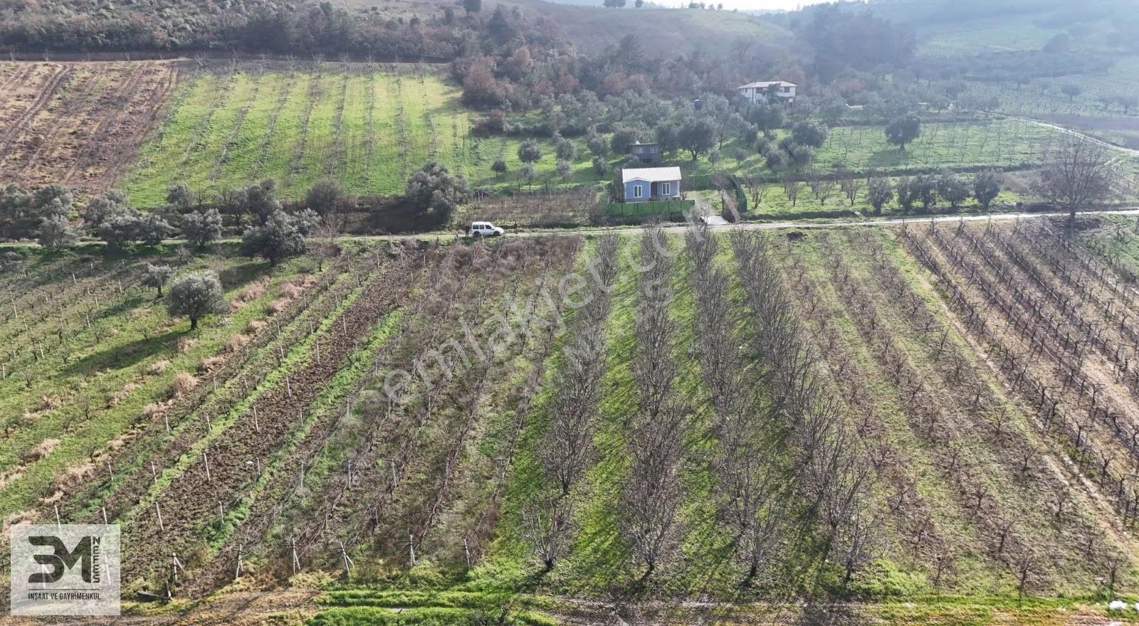 Sakarya Geyve Umurbey 1263m2 Üzüm Bağ Resmi Yol Su Nadir Fırsat - Görsel 8