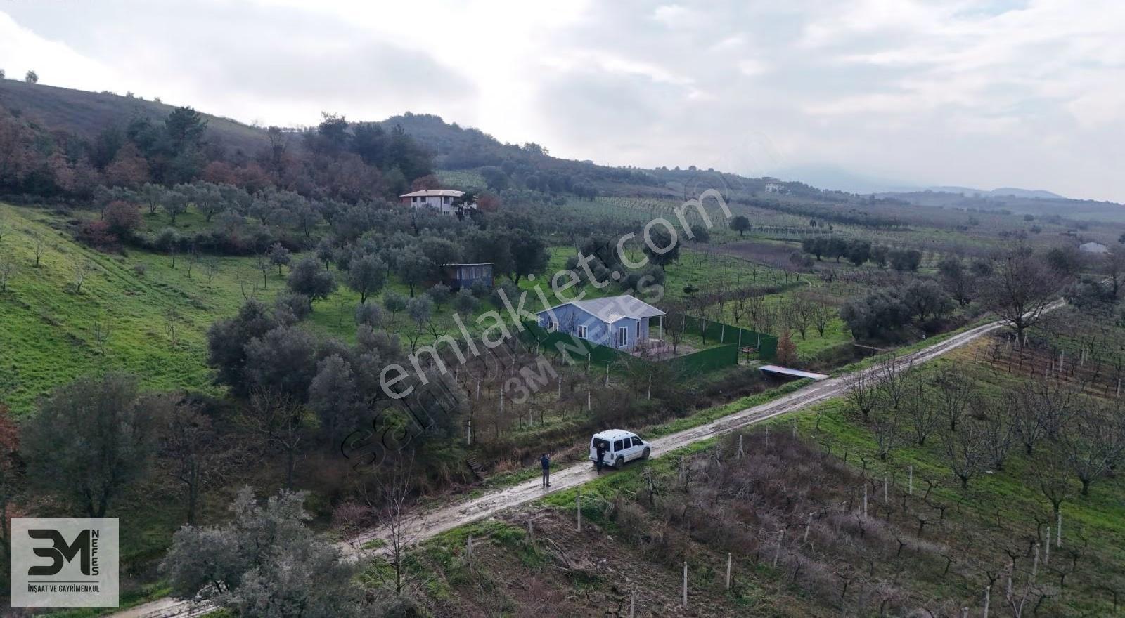 Sakarya Geyve Umurbey 1263m2 Üzüm Bağ Resmi Yol Su Nadir Fırsat - Görsel 29