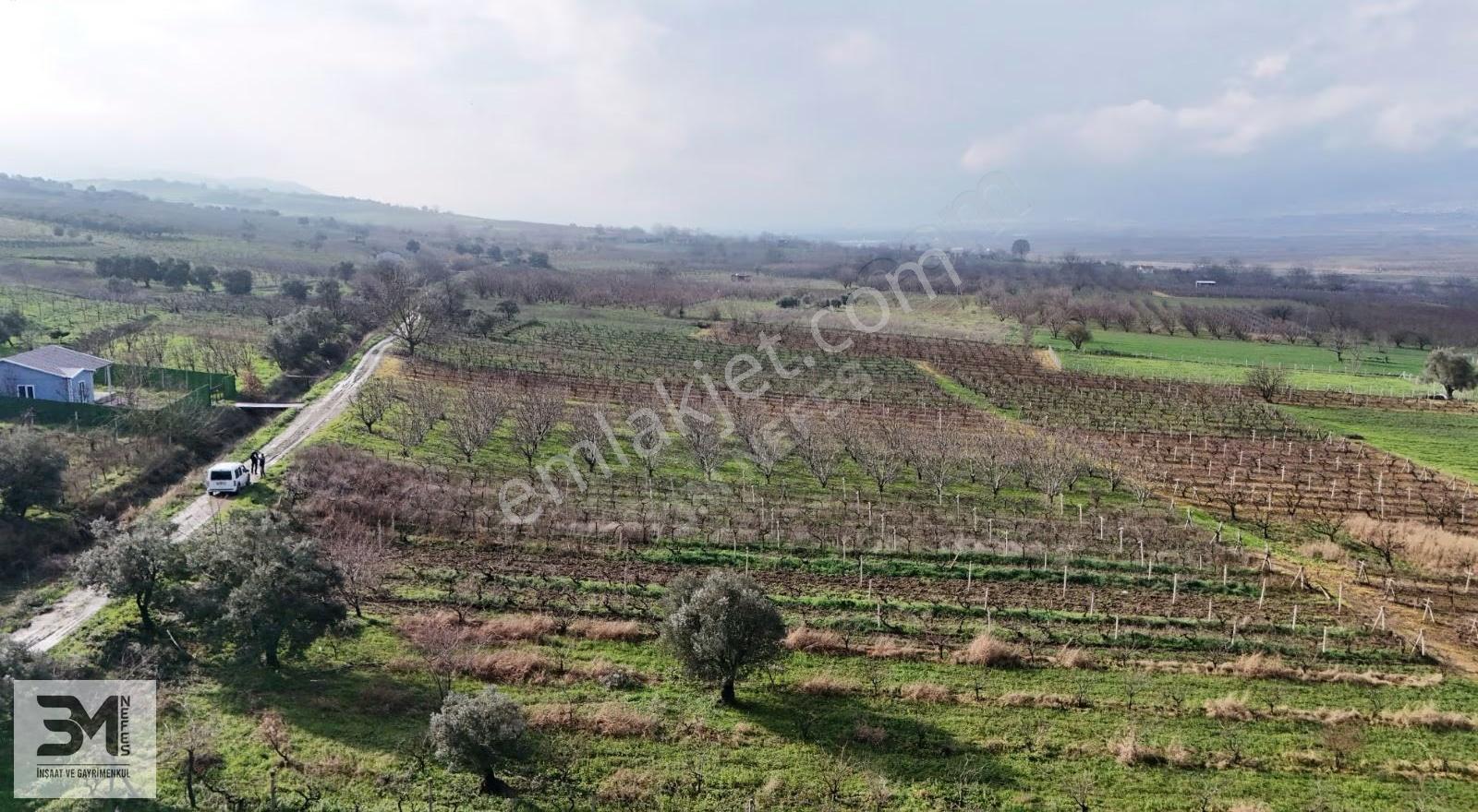 Sakarya Geyve Umurbey 1263m2 Üzüm Bağ Resmi Yol Su Nadir Fırsat - Görsel 31