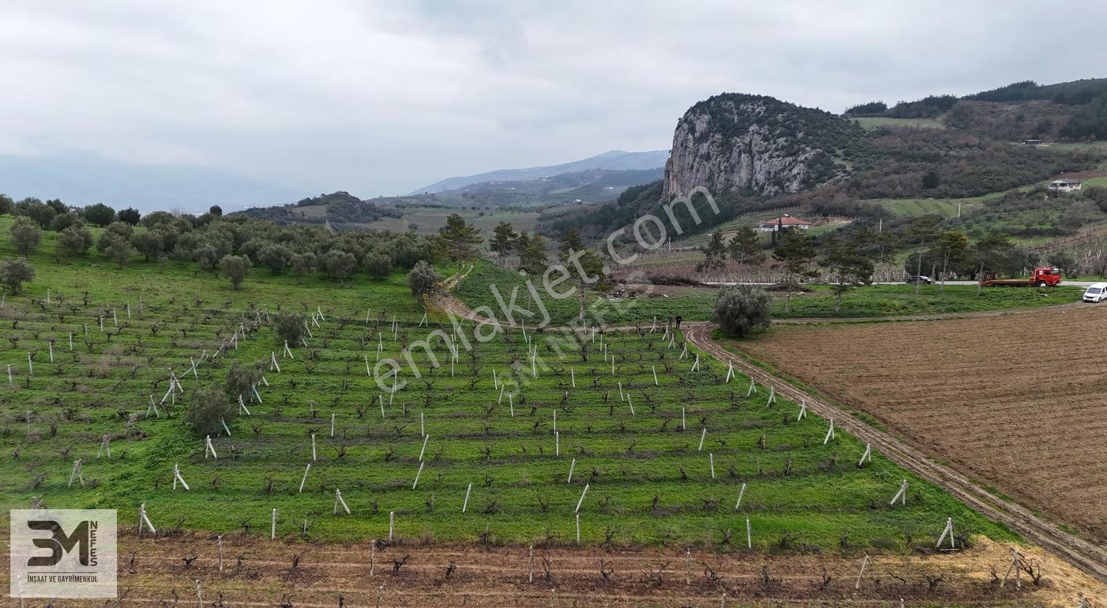 Sakarya Geyve Umurbey 1130m2 Resmi Yol Manzara Bakımlı Üzüm Bağı