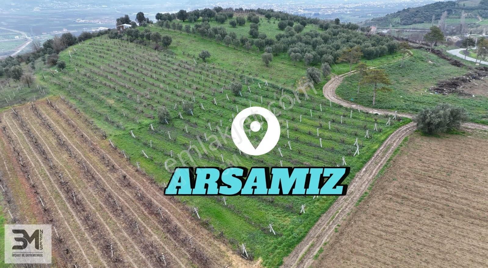 Sakarya Geyve Umurbey 1130m2 Resmi Yol Manzara Bakımlı Üzüm Bağı - Görsel 5