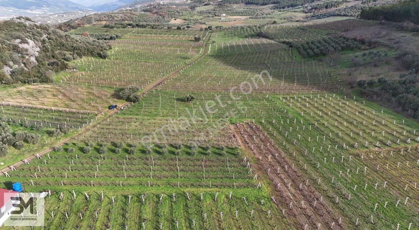 Sakarya Geyve Umurbey 1394m2 Elektrik Su Resmi Yol Fırsat Arsa - Görsel 7