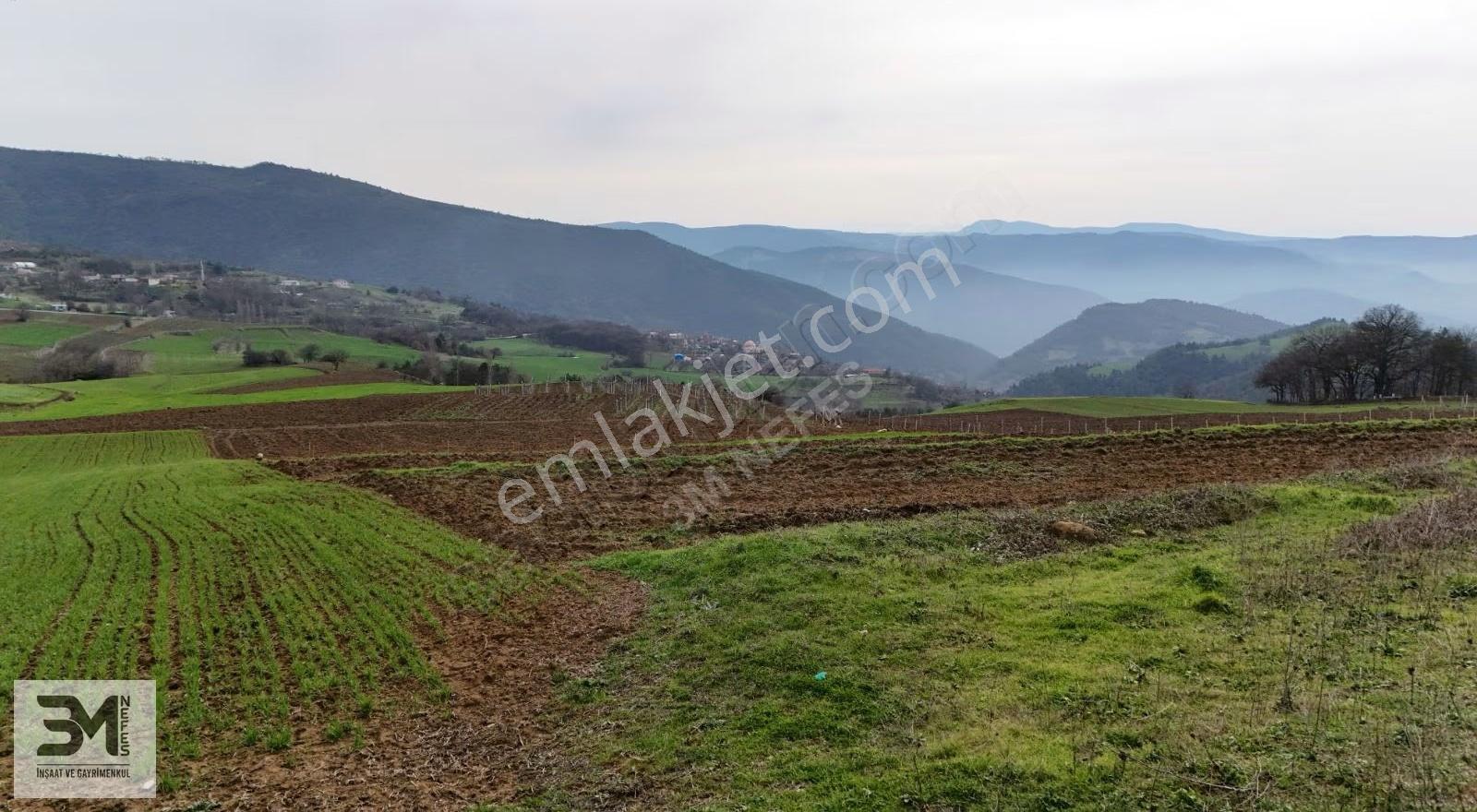 Sakarya Geyve Karacaören 2444 M2 İmar Sınırı Manzaralı Fırsat - Görsel 14