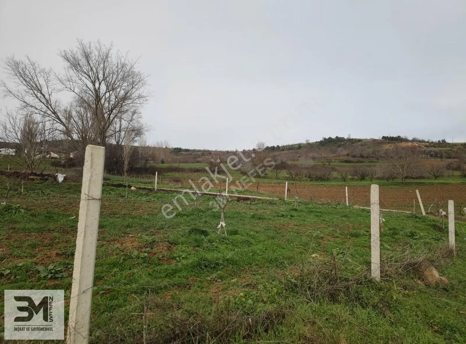 Sakarya Geyve Karacaören 2444 M2 İmar Sınırı Manzaralı Fırsat - Görsel 4