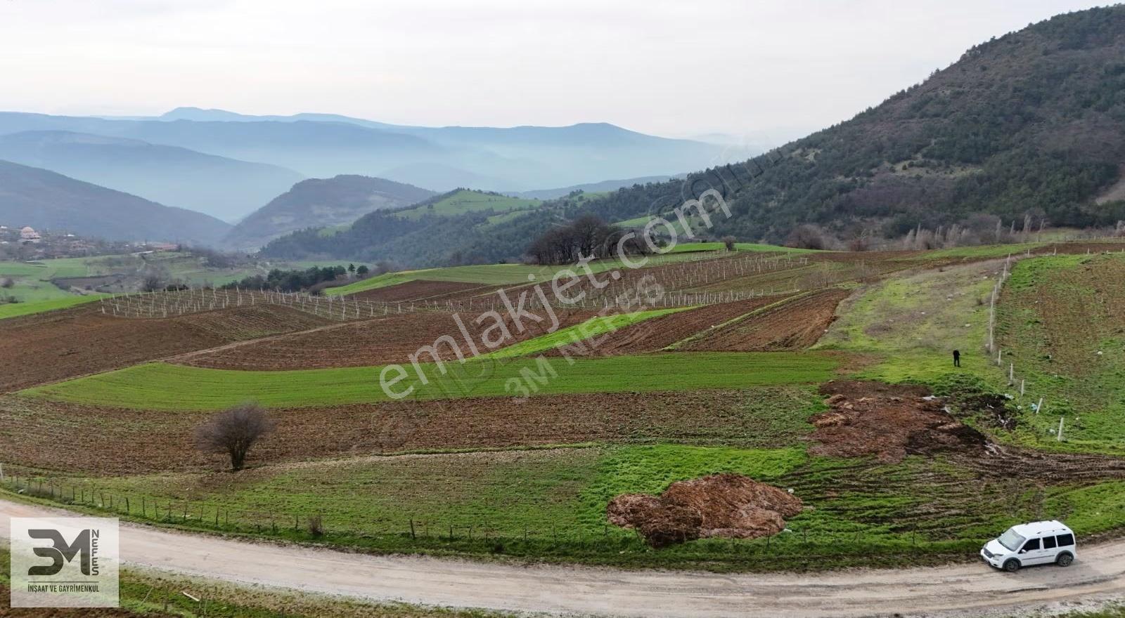 Sakarya Geyve Karacaören 2444 M2 İmar Sınırı Manzaralı Fırsat - Görsel 9