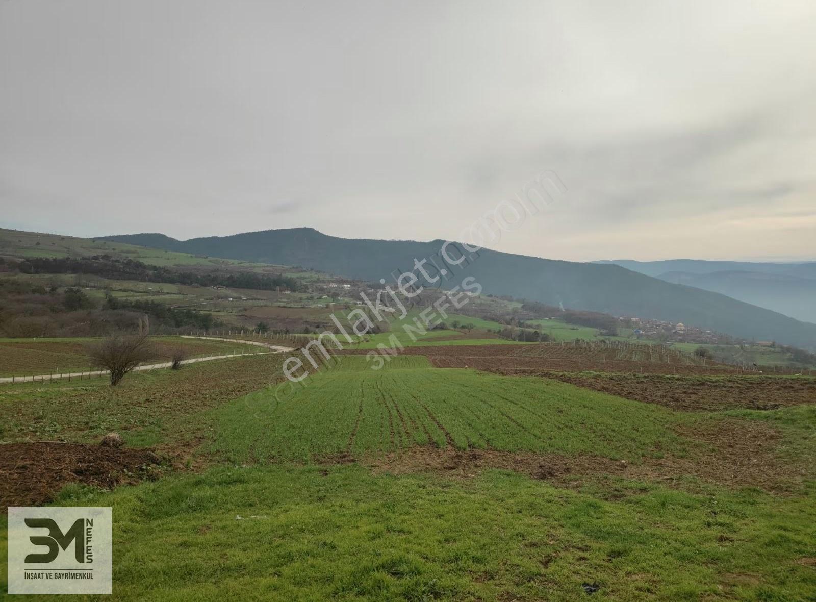 Sakarya Geyve Karacaören 2444 M2 İmar Sınırı Manzaralı Fırsat - Görsel 12