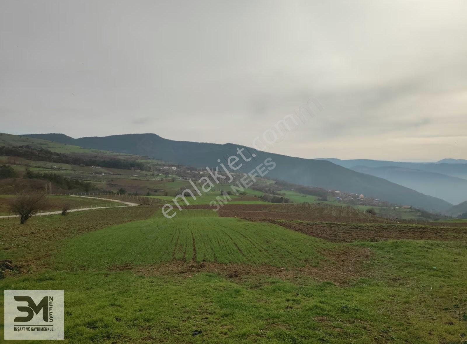 Sakarya Geyve Karacaören 2444 M2 İmar Sınırı Manzaralı Fırsat - Görsel 8