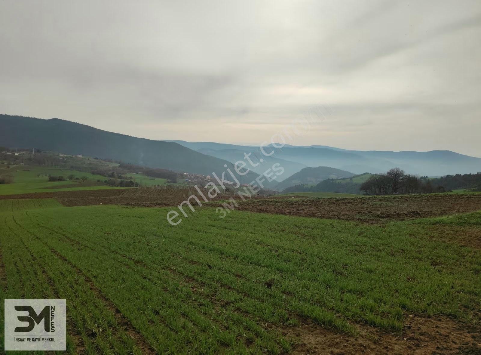 Sakarya Geyve Karacaören 2444 M2 İmar Sınırı Manzaralı Fırsat - Görsel 23