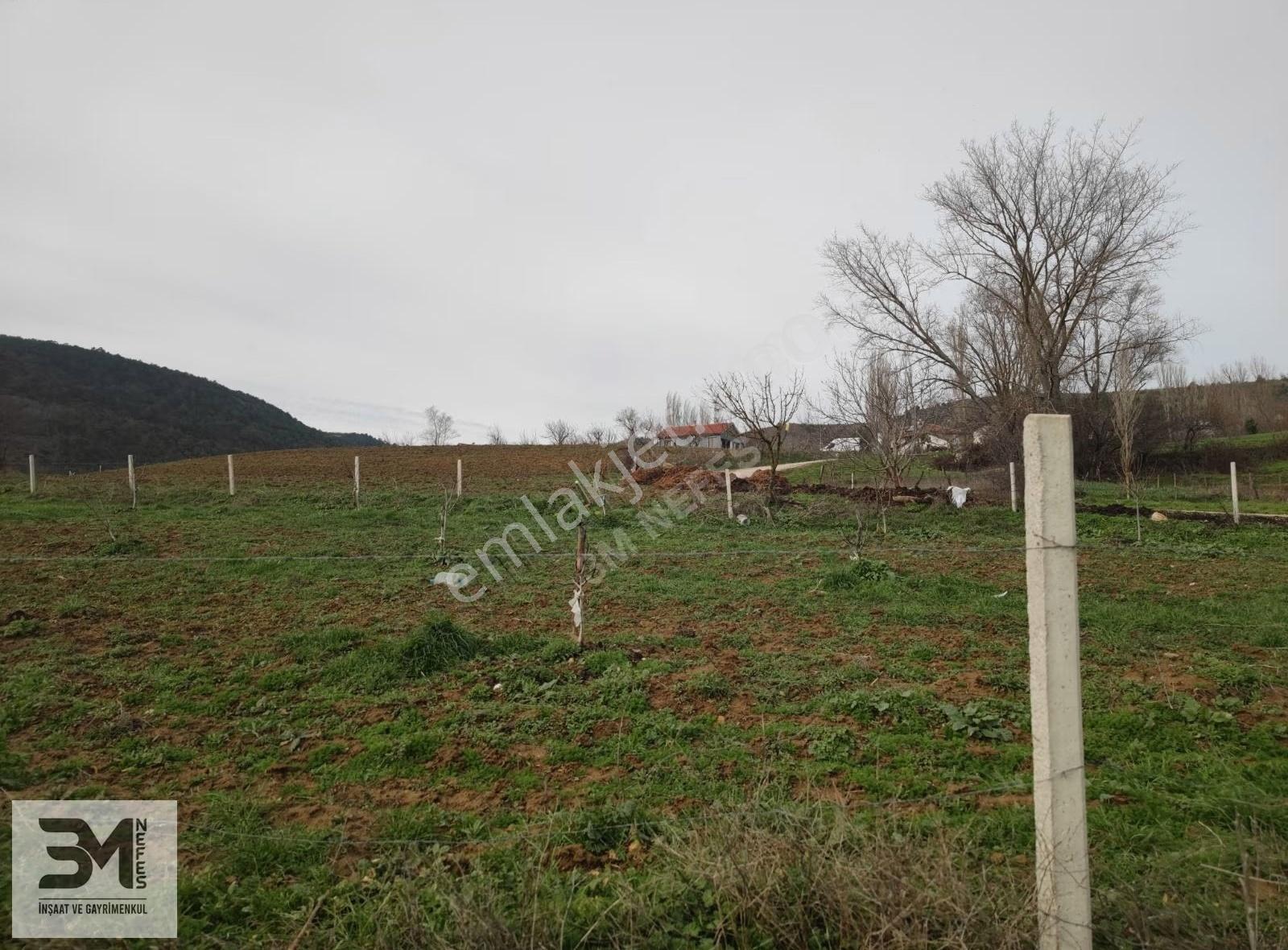 Sakarya Geyve Karacaören 2444 M2 İmar Sınırı Manzaralı Fırsat - Görsel 11