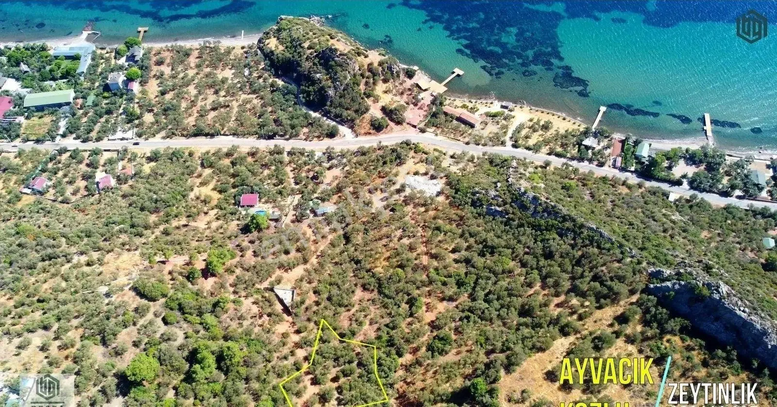 Kozlu Köyünde Sahile 250mt 586m2 Hissesi Olan Satılık Zeytinlik