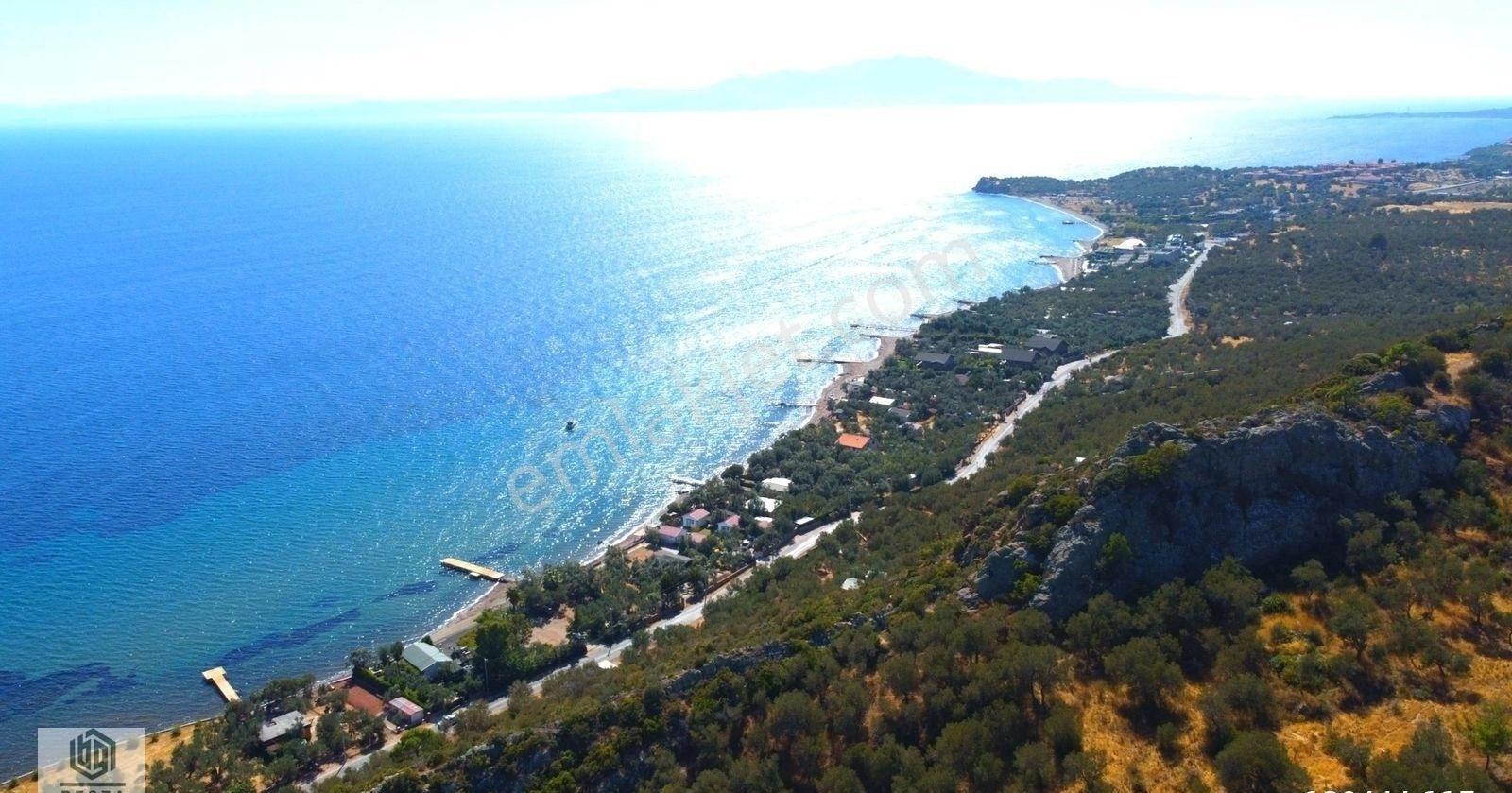 Kozlu Köyünde Sahile 250mt 586m2 Hissesi Olan Satılık Zeytinlik - Görsel 5
