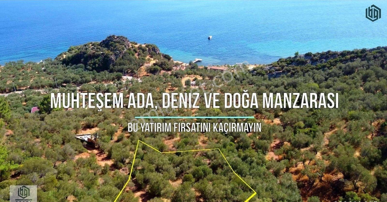 Kozlu Köyünde Sahile 250mt 586m2 Hissesi Olan Satılık Zeytinlik - Görsel 14