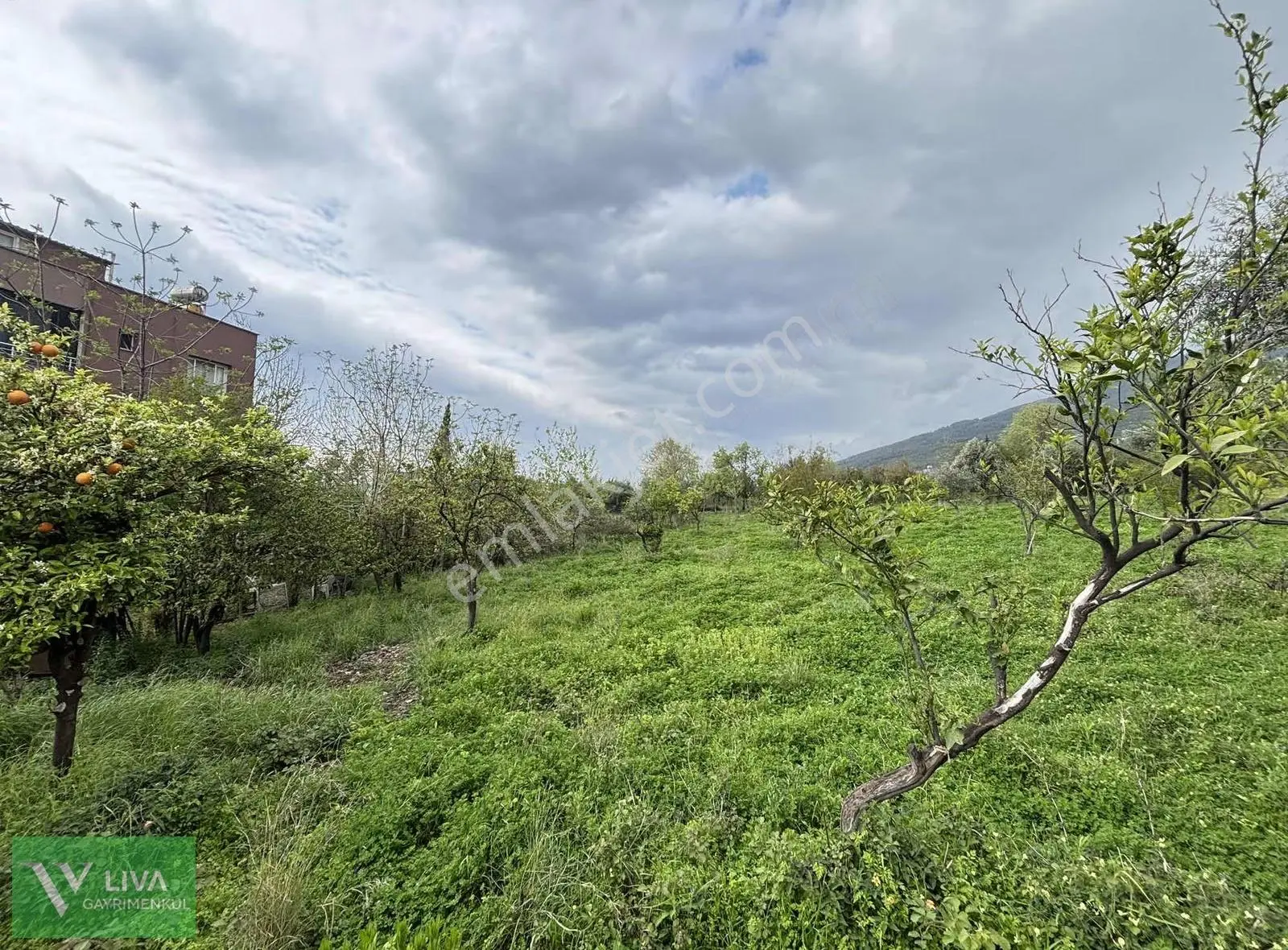 Satılık Arsa (2 Adet) Tevhid Edilebilir İmarlı