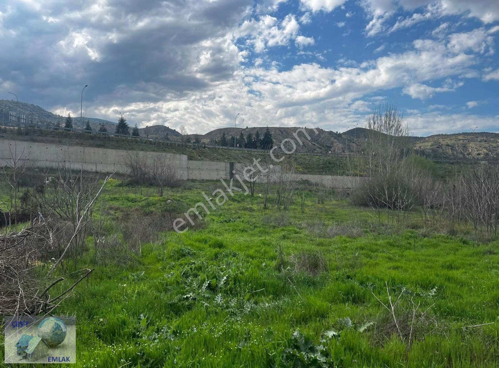 Çeşit Emlak Küplü Köyünde Otoyola Cepheli 14 Dönüm Bahçe - Görsel 12