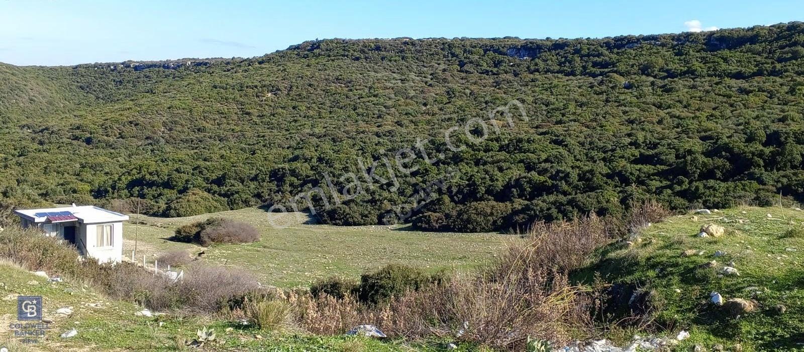Didim Satılık Arsa 1.675.000 Tl Ak Yeniköy Mah - Görsel 30