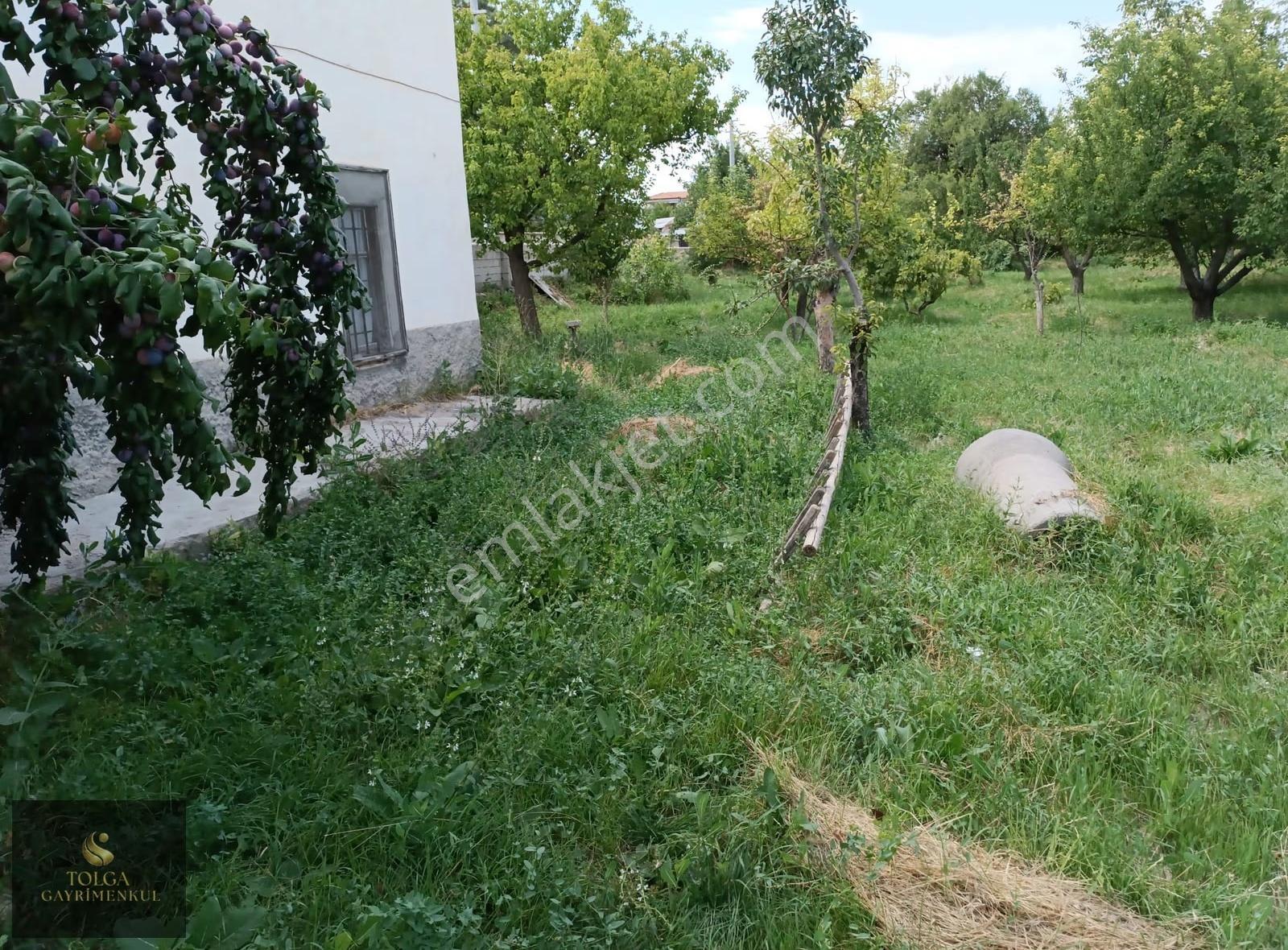 Tolga Gayrimenkul 4.800 M² Yola 145 Metre Cepheli Bağ Evli Bahçe - Görsel 18