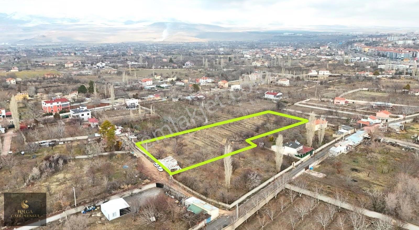 Tolga Gayrimenkul 4.800 M² Yola 145 Metre Cepheli Bağ Evli Bahçe - Görsel 13
