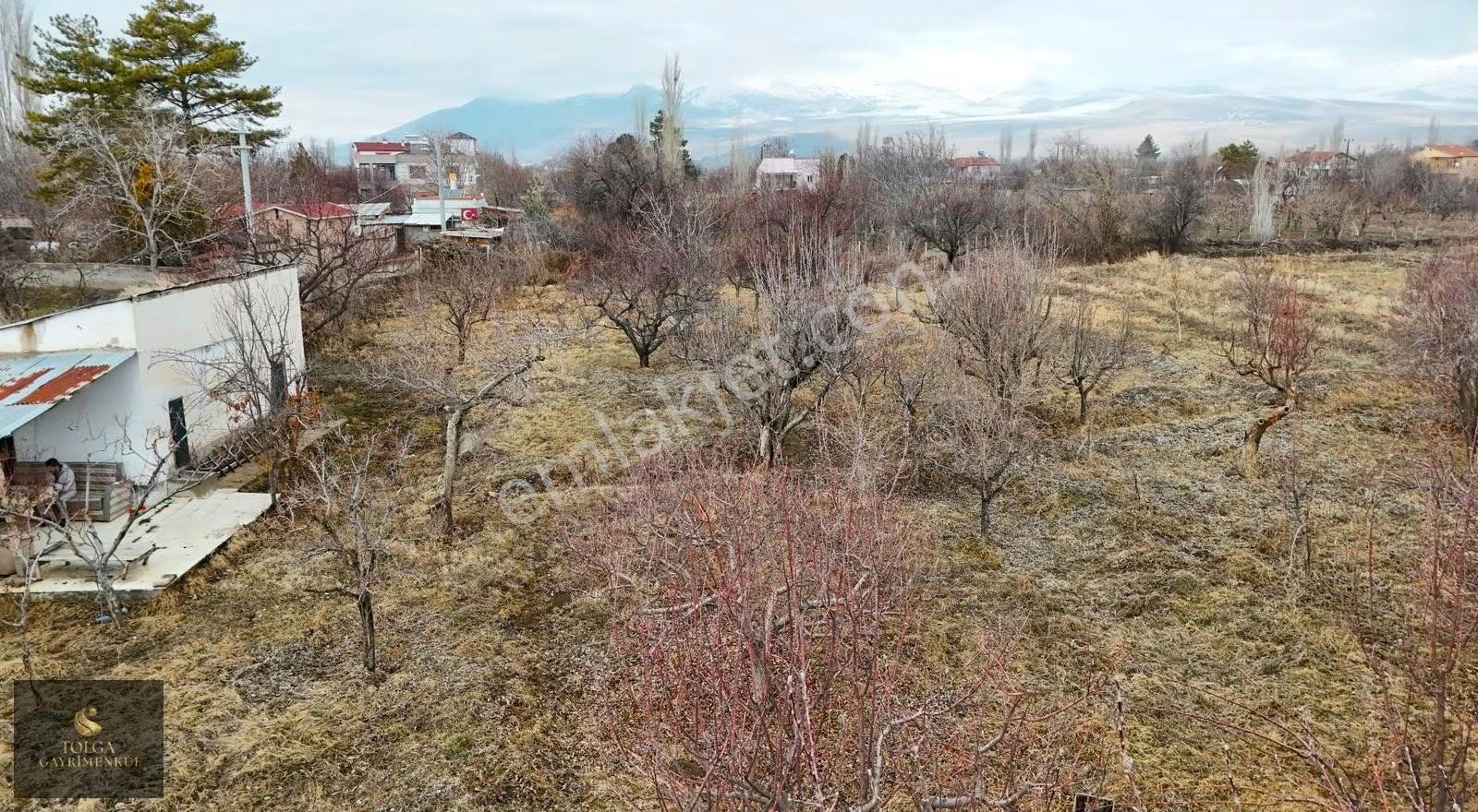 Tolga Gayrimenkul 4.800 M² Yola 145 Metre Cepheli Bağ Evli Bahçe - Görsel 22