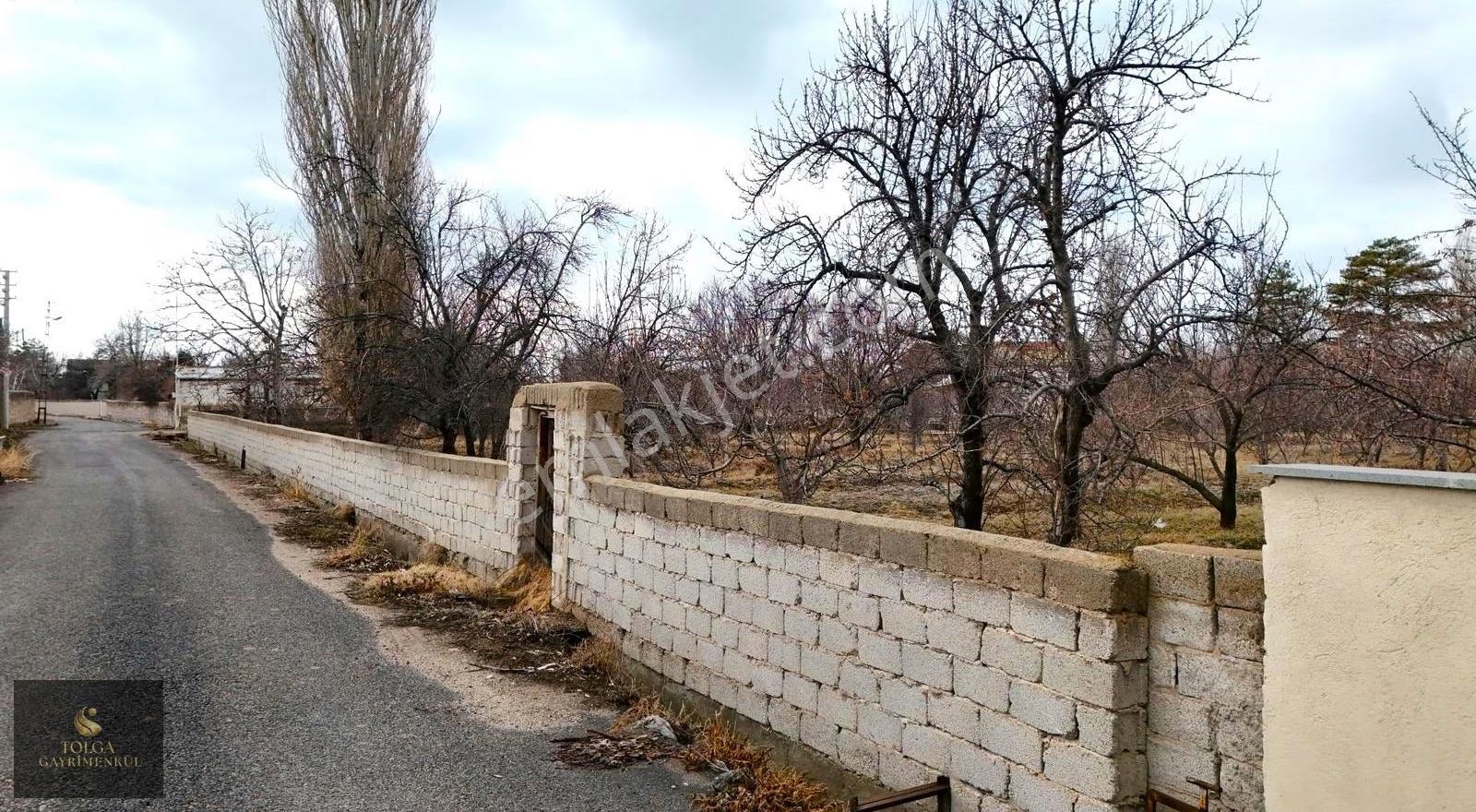 Tolga Gayrimenkul 4.800 M² Yola 145 Metre Cepheli Bağ Evli Bahçe - Görsel 5
