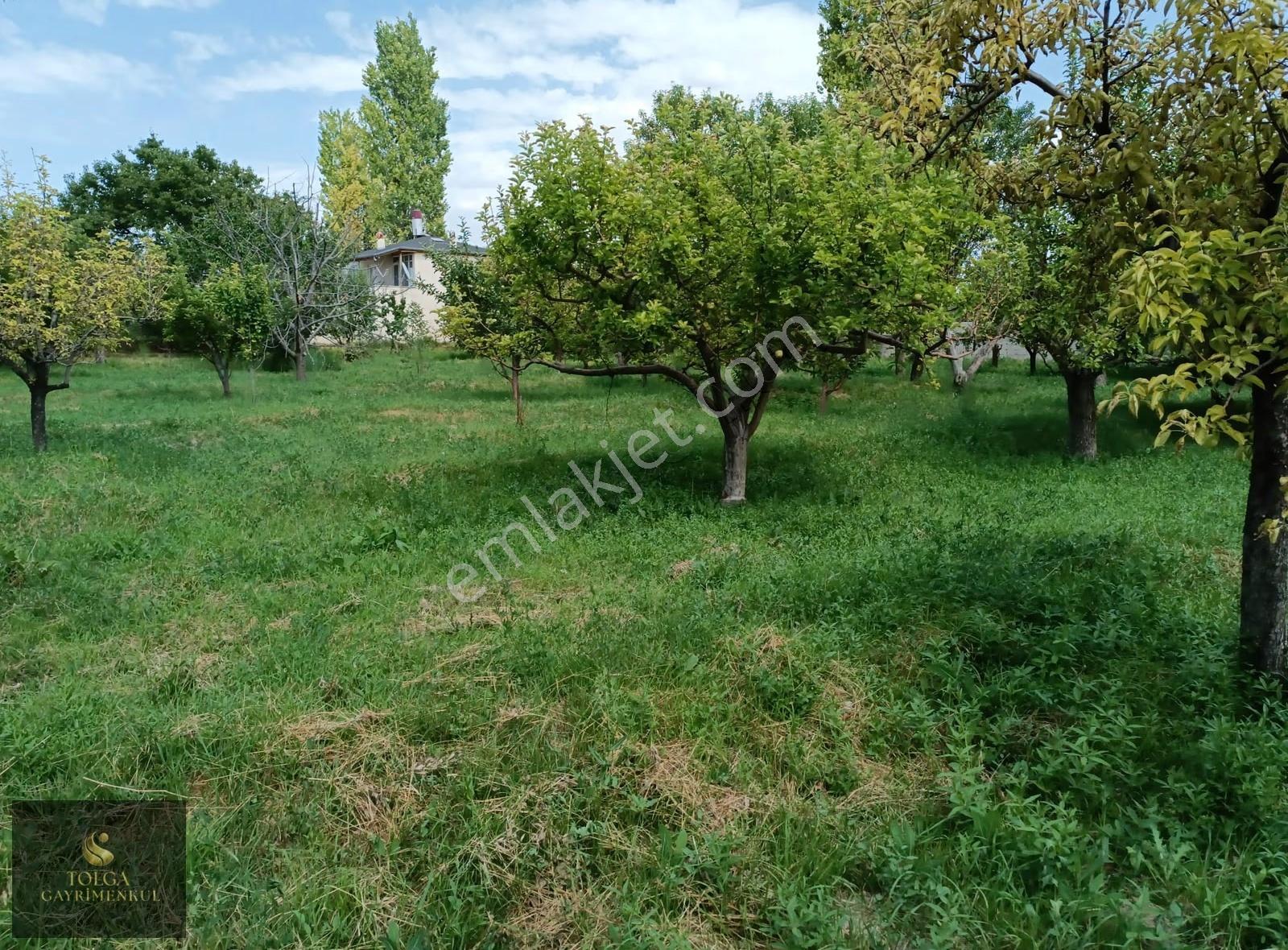 Tolga Gayrimenkul 4.800 M² Yola 145 Metre Cepheli Bağ Evli Bahçe - Görsel 20