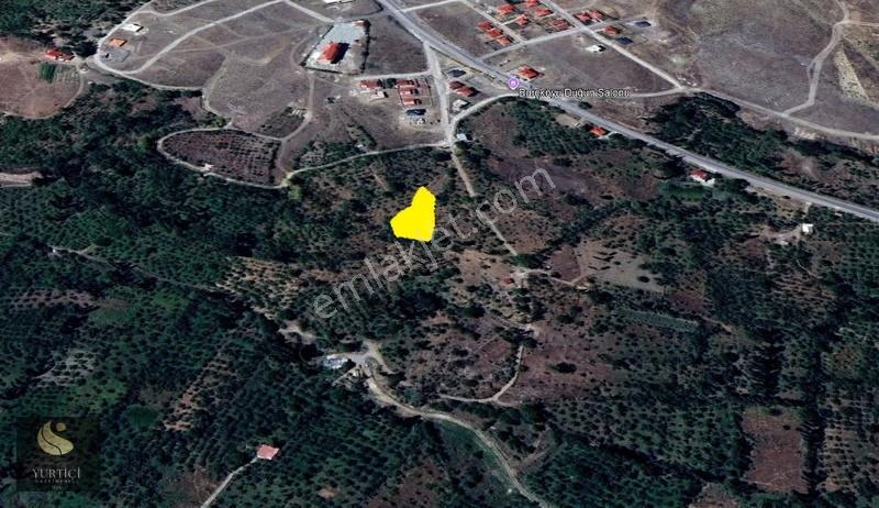'tolga Gayrimenkul' Çamardı Burç Köyü Toplamda 1.579m² Bahçe - Görsel 4
