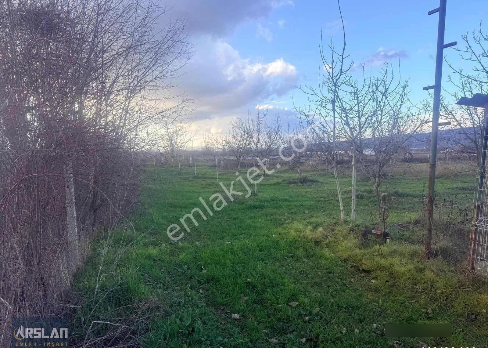 Bursa İnegöl Küçük Yenice De Satılık 5.233m2 Ceviz Bahçesi - Görsel 8