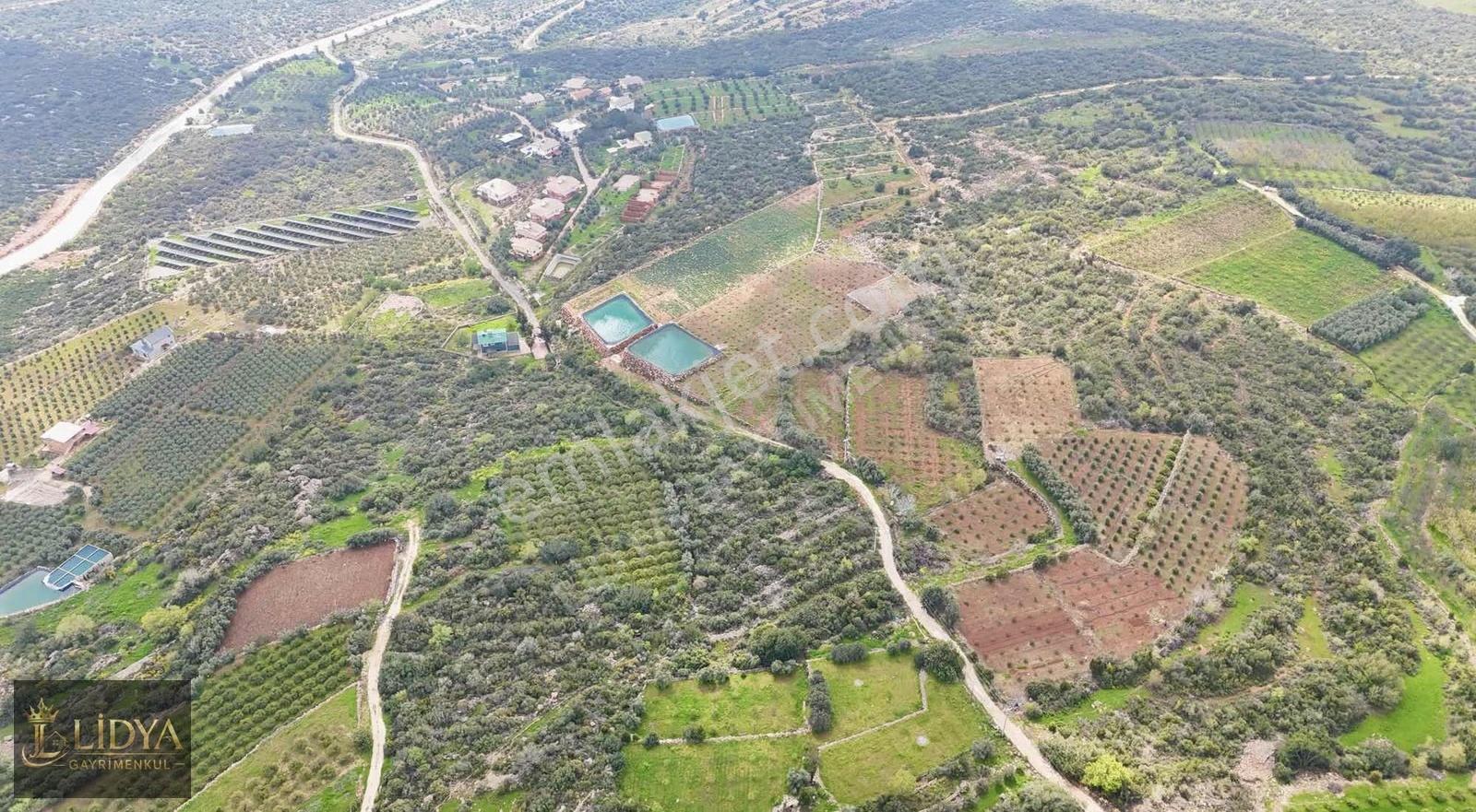 Kumkuyu Çanakçı 5.062 M2 Deniz Ve Şehir Manzaralı Satılık Arsa - Görsel 7