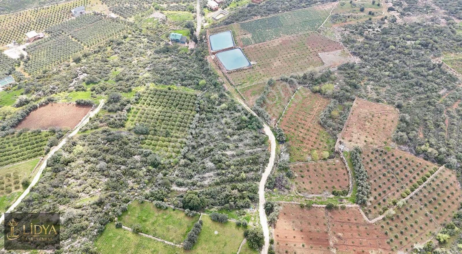 Kumkuyu Çanakçı 5.062 M2 Deniz Ve Şehir Manzaralı Satılık Arsa - Görsel 14