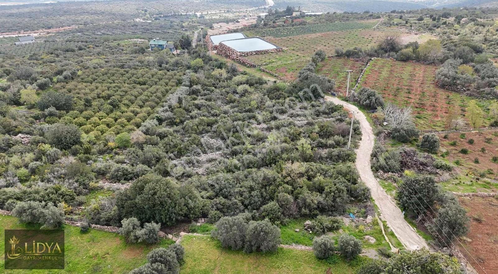 Kumkuyu Çanakçı 5.062 M2 Deniz Ve Şehir Manzaralı Satılık Arsa - Görsel 13