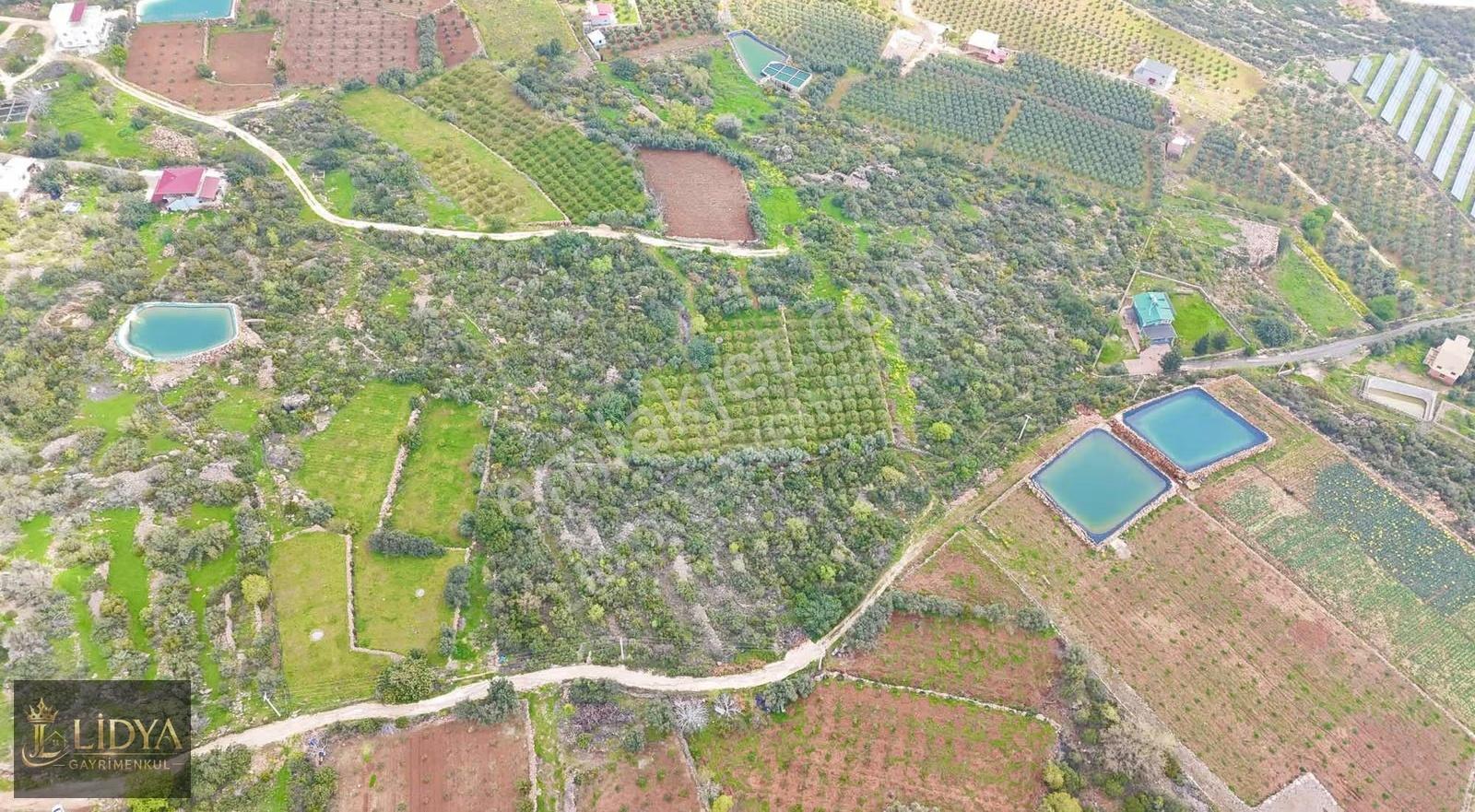 Kumkuyu Çanakçı 5.062 M2 Deniz Ve Şehir Manzaralı Satılık Arsa - Görsel 12