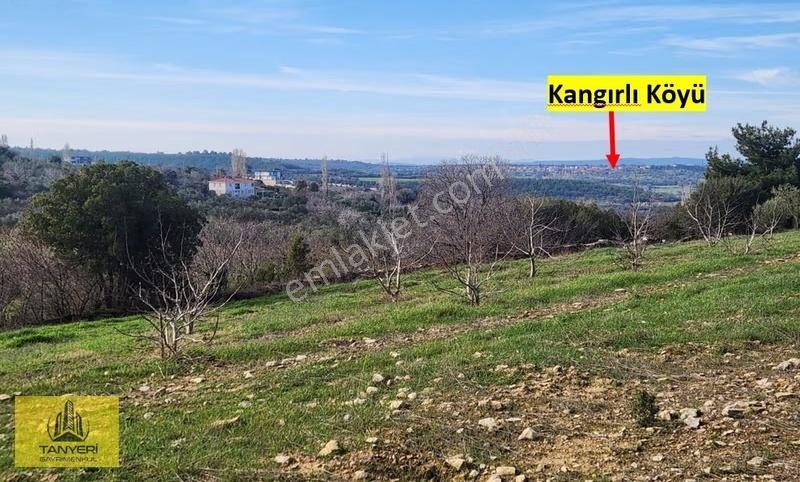 Umurbey'de İmara Bitişik Boğaz Ve Köprü Manzaralı 7 Dönüm Tarla. - Görsel 3