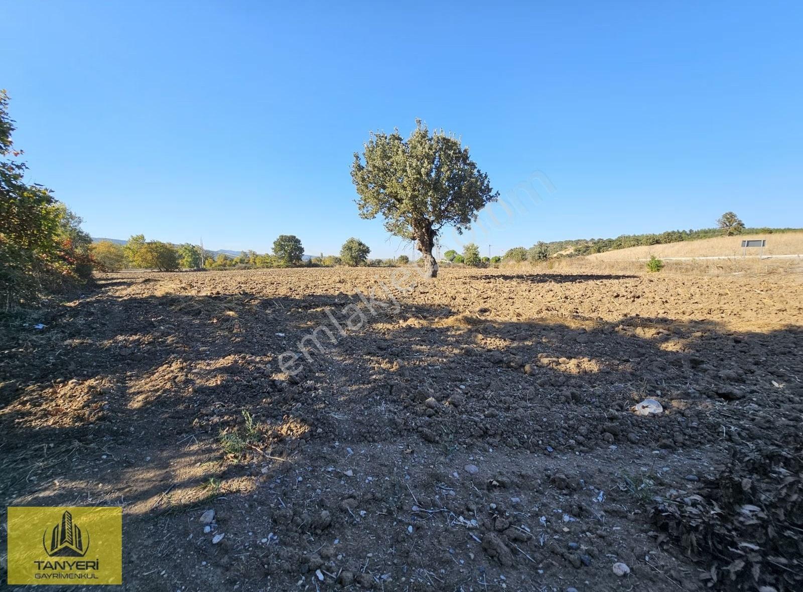 Çanakkale Ezinе'de Ana Yola Cephe 9477m² Tarla (takaslık) - Görsel 30